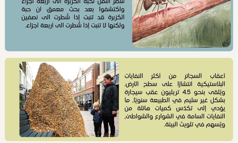 صورة فنية 30 - بيروت كالتشر 2025