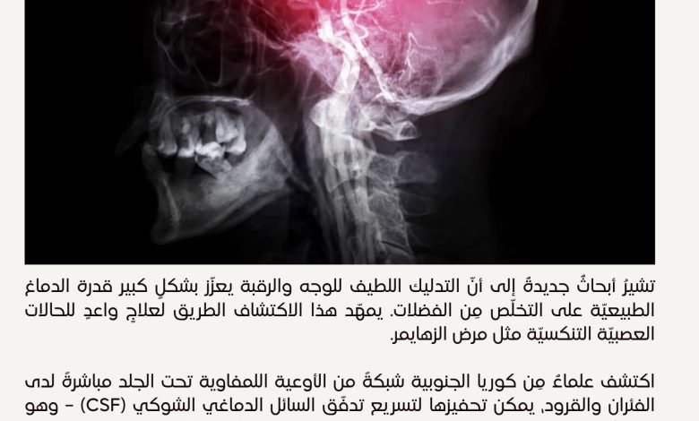 تدليك الوجه والرقبة - فوائد صحية - بيروت كالتشر 28-1-1