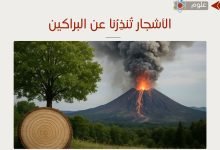 الأشجار تُنذِرُنا عن البراكين