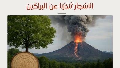 الأشجار تُنذِرُنا عن البراكين