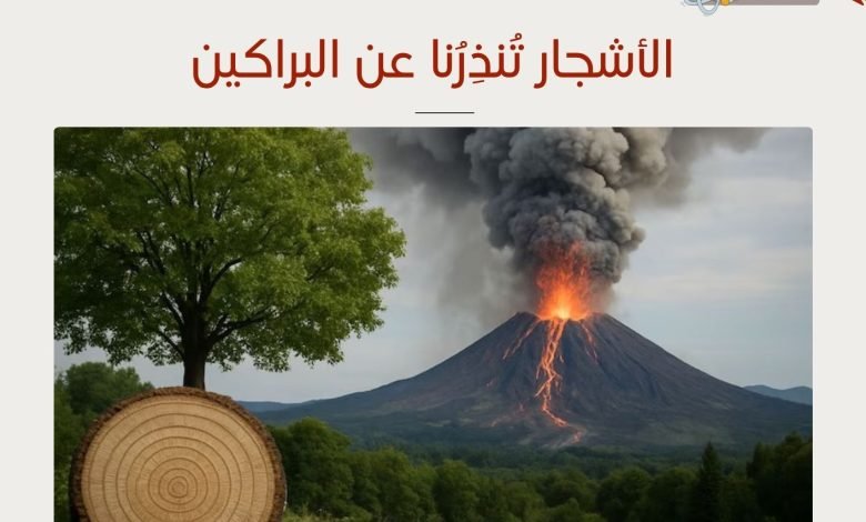 الأشجار والبراكين - ظواهر طبيعية - بيروت كالتشر