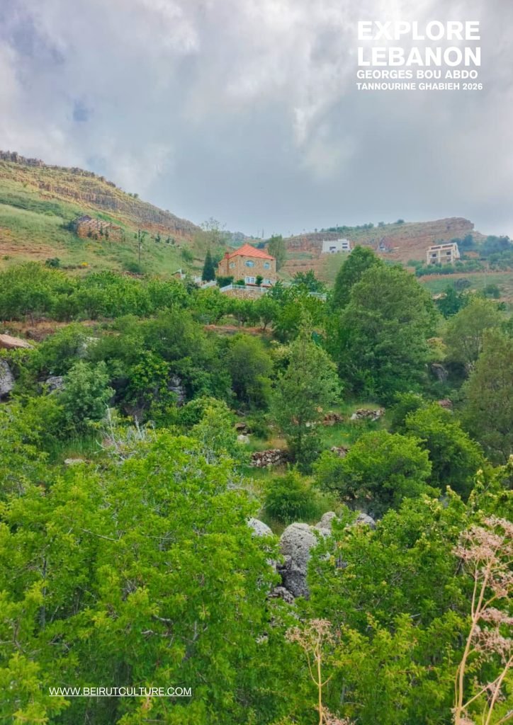 الغابية - تنورين - لبنان