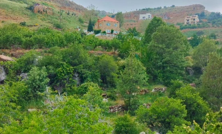 الغابية - تنورين - لبنان
